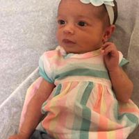 Karen Fletcher Lawson's profile image