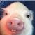 Stephen Myers's profile image