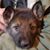 Patrick Kelly's profile image