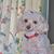 Margie Cameron's profile image
