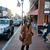 Jessica Pollice Vanzant's profile image