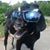 Mary B. Meyer's profile image