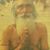 Wesley Gibson's profile image