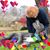 Sue Sommerfeld's profile image
