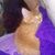 Lisa Stallings's profile image