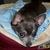 Linda Feine's profile image