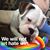 Chris Oddi's profile image