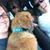 Christine Lynn Wescott's profile image
