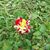 Trish Canaday Wood's profile image