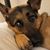 Kim East Donat's profile image