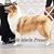 Linda Lanham's profile image