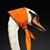 Valeria Vallerini's profile image