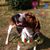 Deb Thompson's profile image