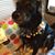 Dawn Radtke's profile image