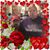 Michele Robertson's profile image
