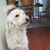 Denise Kordus Abler's profile image