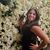 Rachel Maligno's profile image