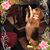 Debbie TenHagen Sutton's profile image