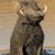 Kenneth Shrock's profile image