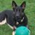 Vicki Bordeau Close's profile image