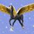 Angenette D Norton's profile image