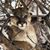Judy Koontz's profile image
