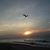 Michelle Morianos Hespeler's profile image
