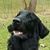 Teresa Howser's profile image