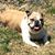Cass Vanderslice Weber's profile image