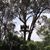 Maria Doyle Woods's profile image