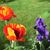 Judy Friend's profile image