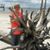 Sue Rowell's profile image
