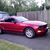 Fabian Clavel's profile image
