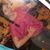 Katelyn Anderson's profile image