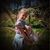 Matthew Waddell's profile image
