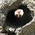 Stella Greig's profile image
