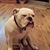 Dale Torbet's profile image