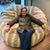 Susan Biliouris's profile image