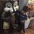 Hamed Tarik's profile image
