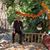 Siavosh Kakavand's profile image
