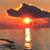 Debbie Clay Holmes's profile image