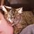 Kristy Hecox's profile image
