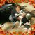 Francisco Alamillo's profile image