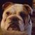 Jeanette Gawrys Lucas's profile image