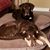 Raena Alexis Latina Lawson's profile image