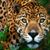 Janette Hernandez's profile image
