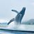 Karleen Grummett's profile image
