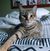Sacil Mahealani's profile image