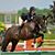 Connie LoMonaco's profile image