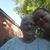 Rachel Garippa's profile image